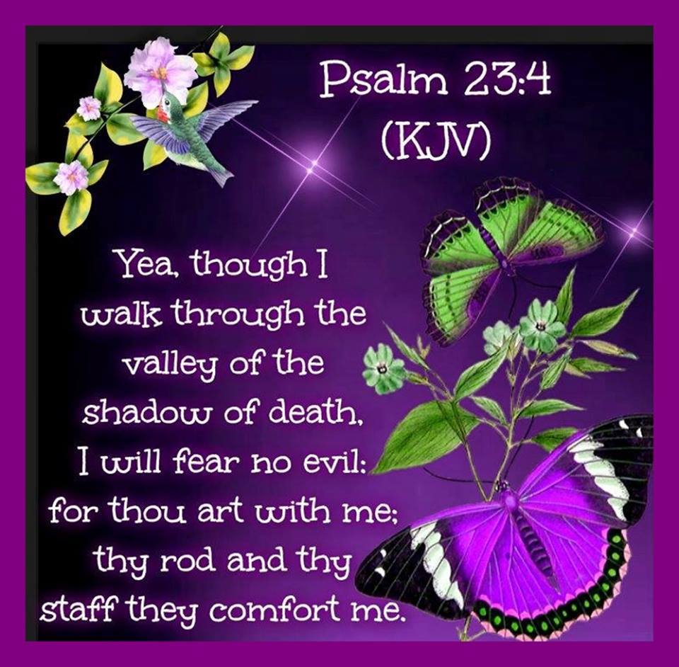 PSALMS 23:4 KJV AMEN-AMEIN!!