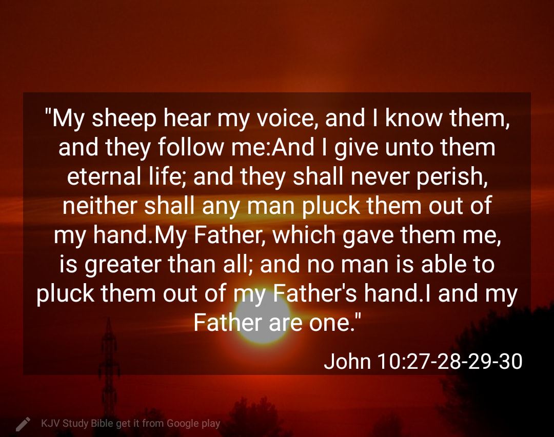 JOHN KJV AMEN-AMEIN!!