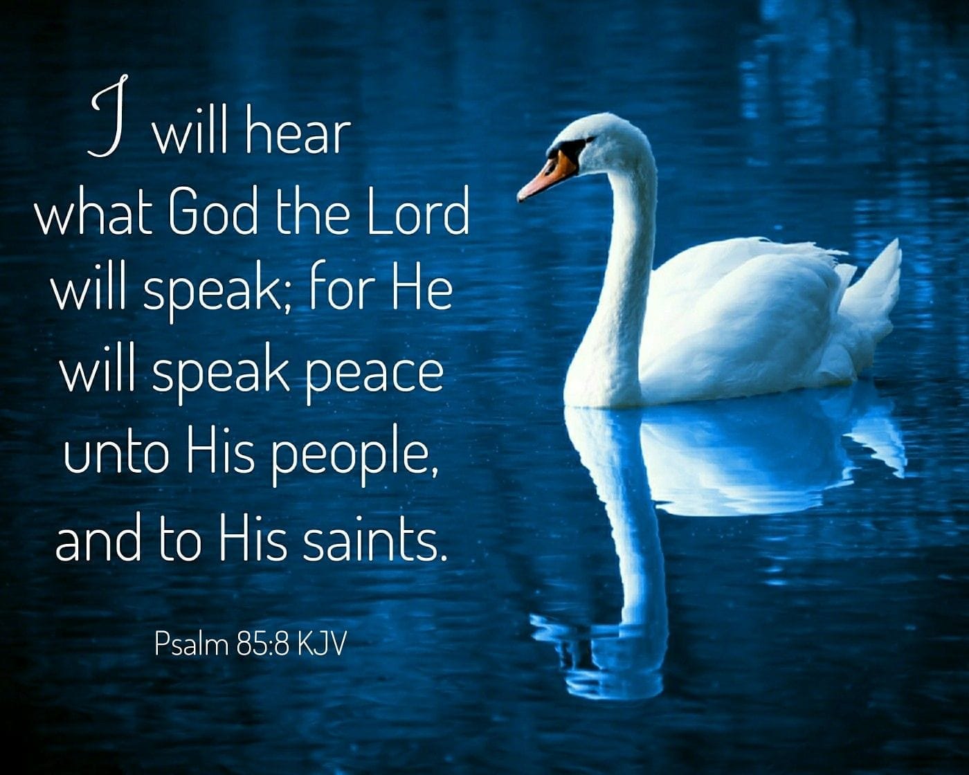 PSALMS 85:8 KJV AMEN-AMEIN!!