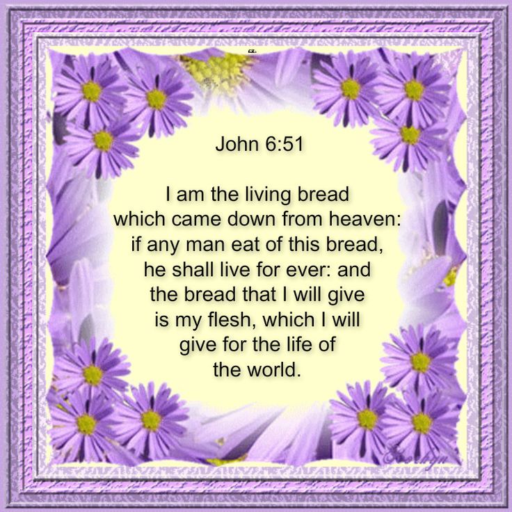 JOHN KJV JESUS-YESHUA IS THE BREAD OF LIFE!!
