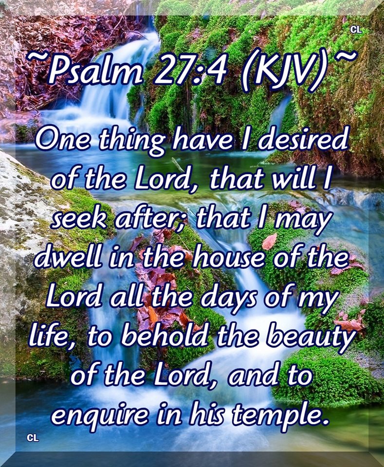PSALMS 27:4 KJV AMEN-AMEIN!!
