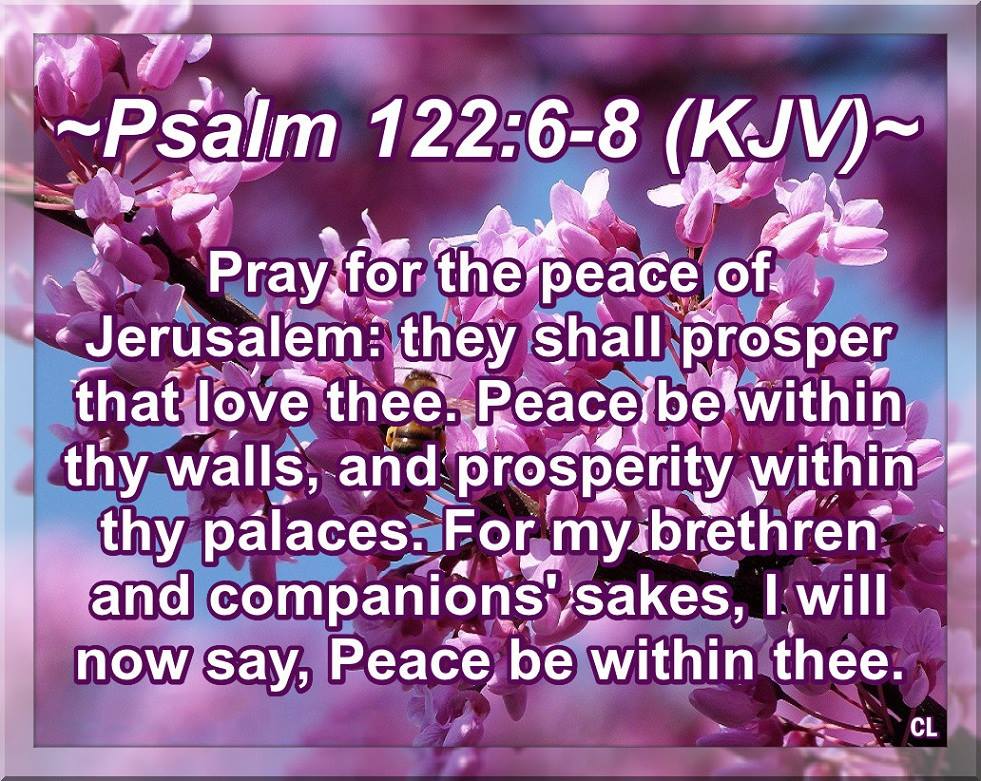 PSALMS 122:6-8 KJV AMEN-AMEIN!!