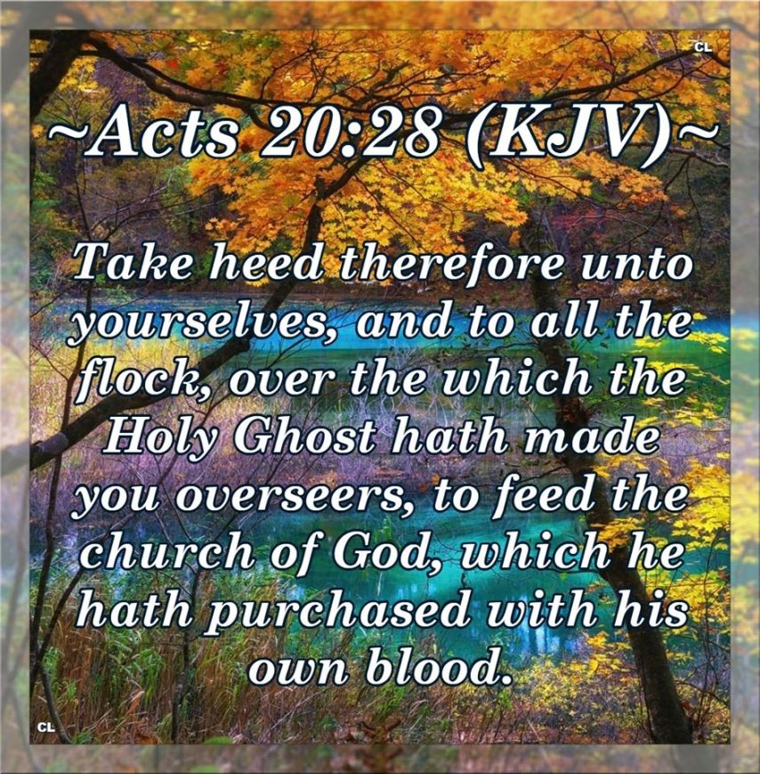 Acts 20:28 KJV HOLY GHOST and more Blessings!!