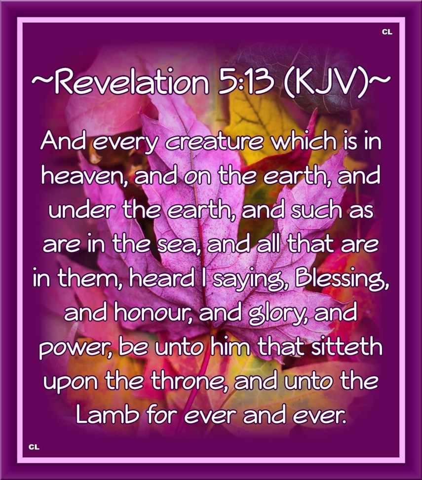 Revelation 5:13 KJV Hallelujah and Maranatha Amen!!