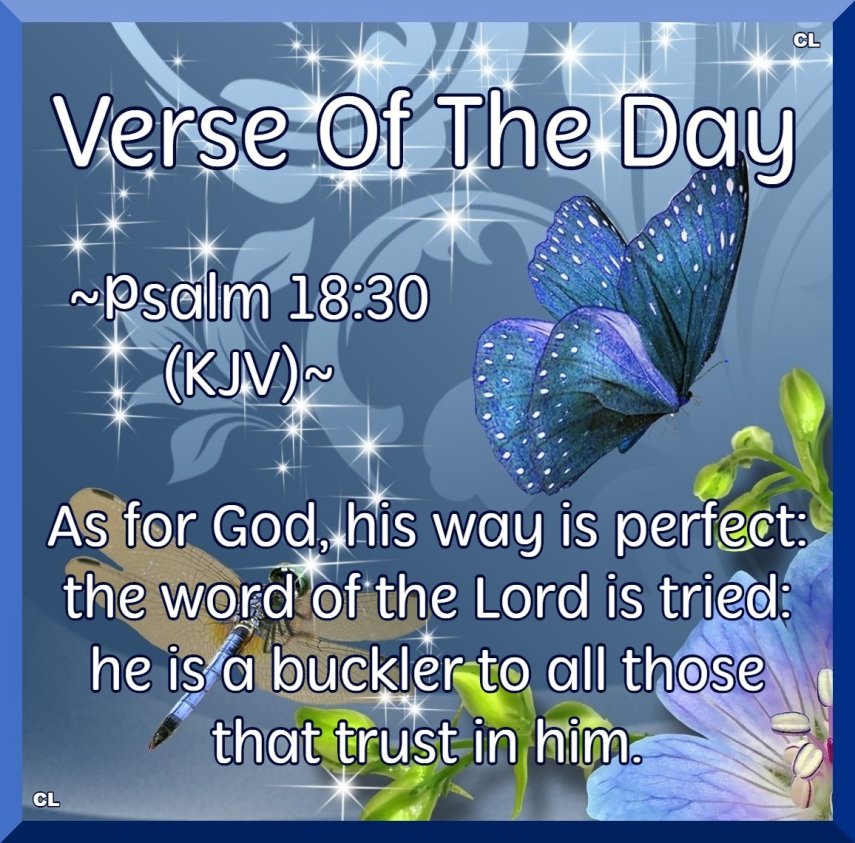 Psalms 18:30 KJV Hallelujah and more Blessings!!