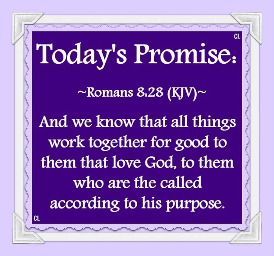 ROMANS 8:28 KJV LOVE AMEN!!