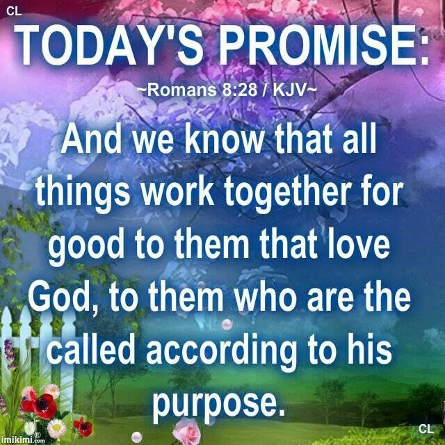ROMANS 8:28 KJV HALLELUJAH AND AMEN!!