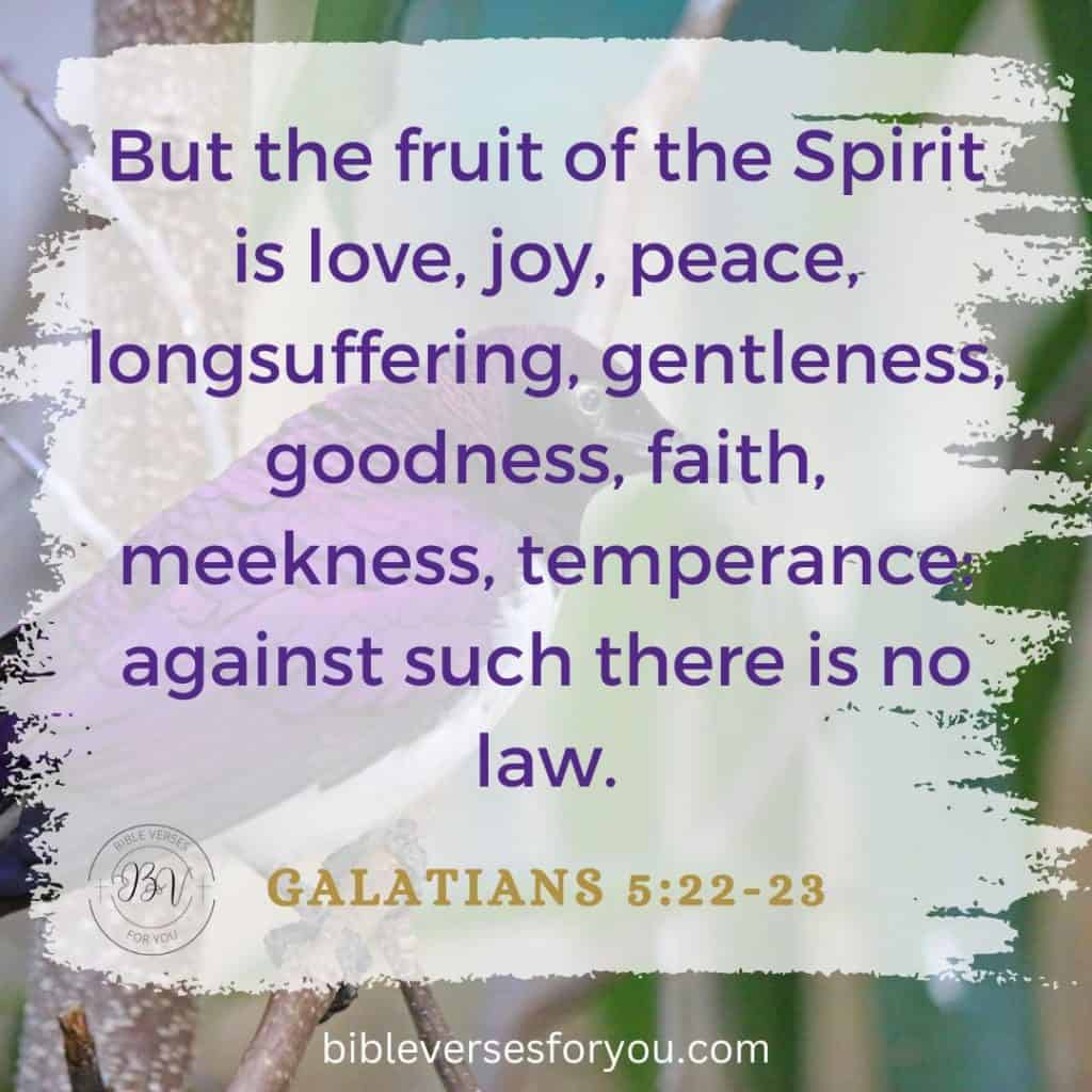 THE FRIUT OF THE HOLY GHOST-HOLY SPIRIT AMEN-AMEIN!!