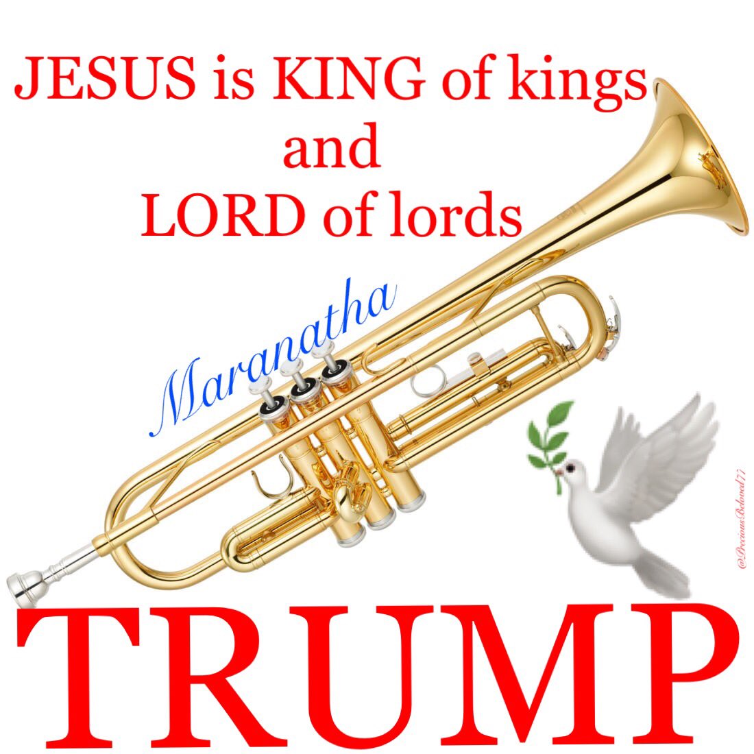JESUS-YESHUA CHRIST-MESSIAH is KING of kings and LORD of lords AMEN-AEMIN!!