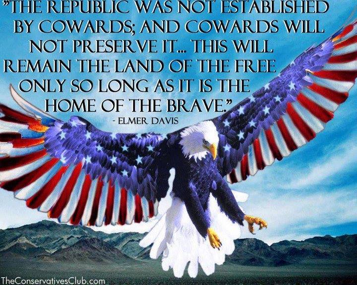 HOME OF THE FREE BECAUSE OF THE BRAVE USA!!