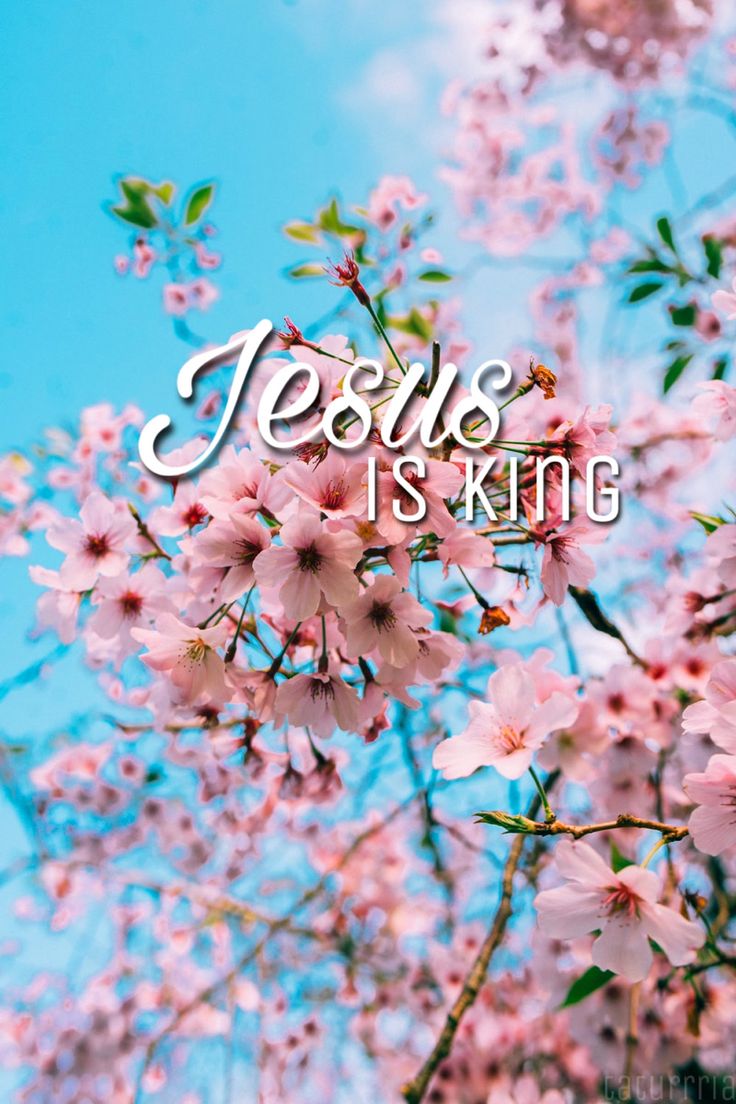 JESUS-YESHUA IS KING of kings and LORD of lords AMEN-AMEIN!!